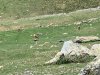IMG_4841